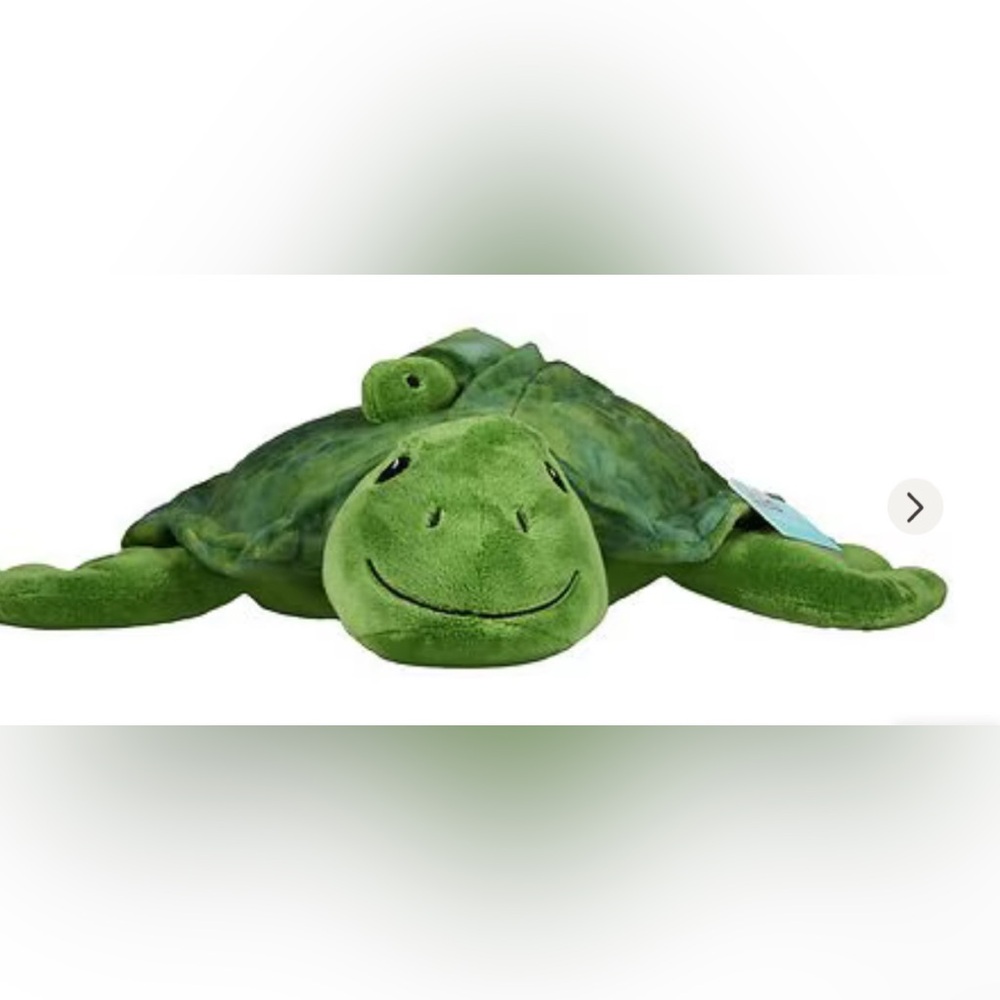 Green Turtle Plush Pillow